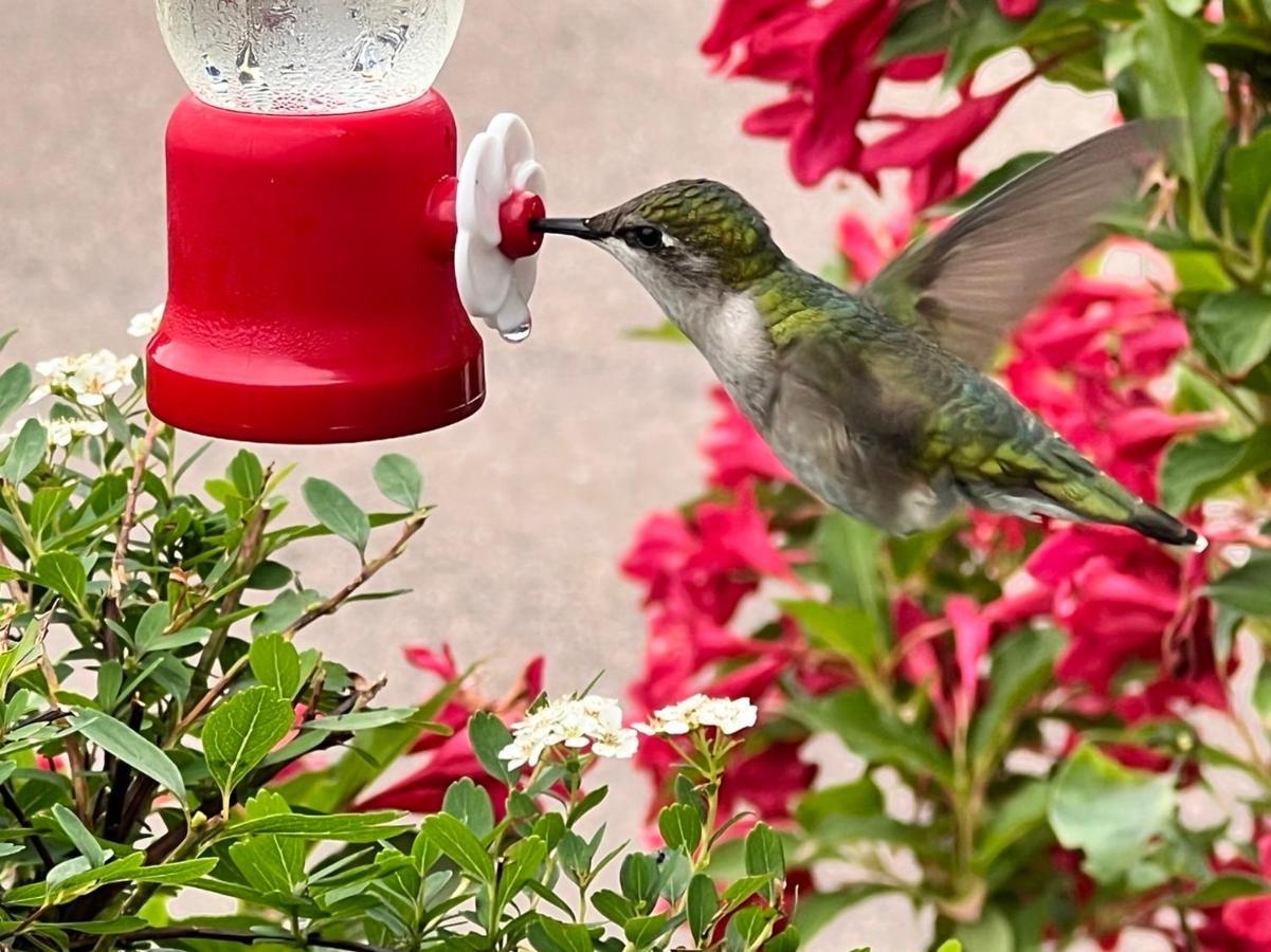 Baker Shore Bed And Breakfast サマーサイド エクステリア 写真